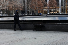 NYC Inauguration Day Jan 20 2021. Photos taken at the WTC Memorial City Hall, and Time Square NYC on Jan 20, 2021 Inauguration Day. Pretty Much Quiet.