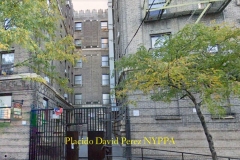 Police: 18-year-old set on fire after dispute in Highbridge 

A man was set on fire after a dispute inside of a in Highbridge apartment building -- the same block where shots rang out Tuesday night. 
Firefighters and the NYPD Arson and Explosion Unit arrived at 1045 Woodycrest Ave. Wednesday.