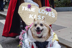 The 2021 New York Halloween Parade took off again this year after one year off due to COVID. This spooktakular event started in the West Village on Spring St and followed down 6th Ave where performers, floats and a diverse set of costumes marched down for spectators.
Hundreds gathered together again to enjoy this iconic event. (C) Bianca Otero. October 31, 2021. NYC