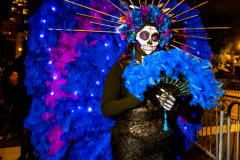 New York, N.Y. 
New York City’s 48th Annual Village Halloween
Parade.  Various parade goers show off their elaborate costumes.