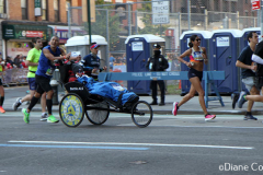 NYC Marathon 2021
Photo by Diane Cohen