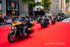 NYC Veterans Day Parade offers up a variety of people, both marchers and spectators 11/11/21.
