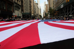 veterans day 2021. photos by Diane cohen