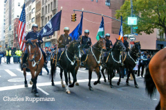 New York, New York City
The Veterans Day Parade Marches up 5th ave. after being cancelled last year due to Covid. 
©Charles Ruppmann 2021