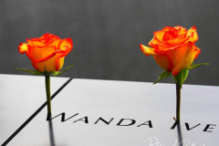 NEW YORK, NEW YORK - SEPTEMBER 11: Flowers are placed into the inscribed names of the victims of the 9/11 attacks and in the 1993 World Trade Center bombing during the annual commemoration ceremony at the National 9/11 Memorial and Museum on September 11, 2021 in New York City. The nation is marking the 20th anniversary of the terror attacks of September 11, 2001, when the terrorist group al-Qaeda flew hijacked airplanes into the World Trade Center, Shanksville, PA and the Pentagon, killing nearly 3,000 people
