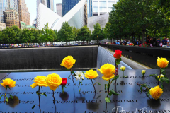 NEW YORK, NEW YORK - SEPTEMBER 11: Flowers are placed into the inscribed names of the victims of the 9/11 attacks and in the 1993 World Trade Center bombing during the annual commemoration ceremony at the National 9/11 Memorial and Museum on September 11, 2021 in New York City. The nation is marking the 20th anniversary of the terror attacks of September 11, 2001, when the terrorist group al-Qaeda flew hijacked airplanes into the World Trade Center, Shanksville, PA and the Pentagon, killing nearly 3,000 people