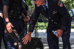 Two police praise a police dog with badge  during the commemoration of the 9/11 attacks.
Hundreds of people came to the memorial to pay tribute to their family members and loved ones marking the 20th anniversary of the tragedy that struck NYC and shocked the world on 9/11/01. (C) Bianca Otero