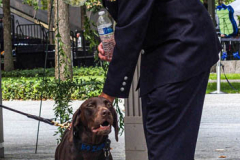 A police dog with badge sits gets a pat during the commemoration of the 9/11 attacks.
Hundreds of people came to the memorial to pay tribute to their family members and loved ones marking the 20th anniversary of the tragedy that struck NYC and shocked the world on 9/11/01. (C) Bianca Otero