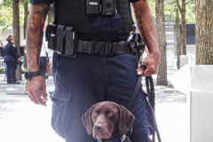 A police dog with badge sits with his handler during the commemoration of the 9/11 attacks.
Hundreds of people came to the memorial to pay tribute to their family members and loved ones marking the 20th anniversary of the tragedy that struck NYC and shocked the world on 9/11/01. (C) Bianca Otero