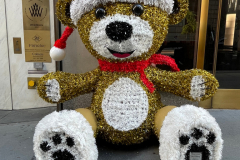 NYC Holiday Spirit on Fifth Avenue from 51st Street to 59th Street. Also in front of Plaza Hotel 59th Fifth Avenue