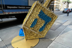 NYC Holiday Spirit on Fifth Avenue from 51st Street to 59th Street. Also in front of Plaza Hotel 59th Fifth Avenue