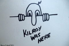 Farmingdale, New York,  -- In preparation of Memorial Day Weekend, Farmingdale’s American Airpower Museum (AAM) continues their historic participation in the Jones Beach Air Show, flying the Museum’s fabled "Arsenal of Democracy" warbirds over Jones Beach on Saturday, May 29th and Sunday, May 30th!  AAM’s squadron of iconic and meticulously restored vintage military aircraft includes a B-25 Mitchell Bomber, Douglas C-47 Skytrain, Grumman TBM Avenger Torpedo Bomber, Curtiss P-40 Flying Tiger, P-51D Mustang Fighter, AT28D5 Nomad Vietnam Era Fighter and AT-6 Texan.