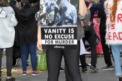 New York,   Anti Fur protest in Manhattan. Protestors marched through the streets of Manhattan and targeted high end clothes stores that sell Fur products.