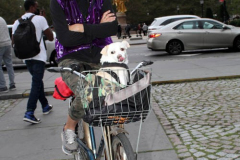 New York,   Anti Fur protest in Manhattan. Protestors marched through the streets of Manhattan and targeted high end clothes stores that sell Fur products.