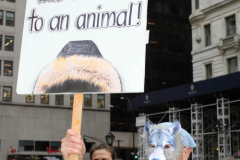 New York,   Anti Fur protest in Manhattan. Protestors marched through the streets of Manhattan and targeted high end clothes stores that sell Fur products.