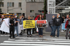 New York,   Anti Fur protest in Manhattan. Protestors marched through the streets of Manhattan and targeted high end clothes stores that sell Fur products.