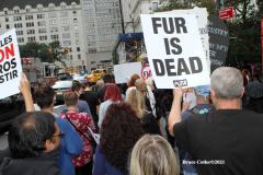 New York,   Anti Fur protest in Manhattan. Protestors marched through the streets of Manhattan and targeted high end clothes stores that sell Fur products.