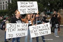New York,   Anti Fur protest in Manhattan. Protestors marched through the streets of Manhattan and targeted high end clothes stores that sell Fur products.