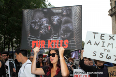 New York,   Anti Fur protest in Manhattan. Protestors marched through the streets of Manhattan and targeted high end clothes stores that sell Fur products.