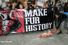 New York,   Anti Fur protest in Manhattan. Protestors marched through the streets of Manhattan and targeted high end clothes stores that sell Fur products.
