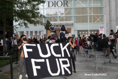 New York,   Anti Fur protest in Manhattan. Protestors marched through the streets of Manhattan and targeted high end clothes stores that sell Fur products.