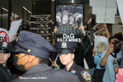 New York,   Anti Fur protest in Manhattan. Protestors marched through the streets of Manhattan and targeted high end clothes stores that sell Fur products.