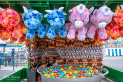 NEW YORK  Luna Park amusement park reopened at Coney Island on Friday for the first time since the coronavirus pandemic started.

The park has been waiting since October 2019 to welcome back guests, and it’s added six new, family-friendly rides for Opening Day, New York City Mayor Bill de Blasio was on hand to cut the ribbon to open the park. Park workers disinfect the rides after each usage.
( Photos: Reiko Yanagi©2021)