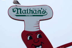 A bird sits atop the Famous Nathan's Hot Dog Marquee at the reopening of the Coney Island amusement area in New York.
