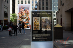 “Casa Battló: Living Architecture” is a new public art piece that is on display outside Rockefeller Plaza through May 13.