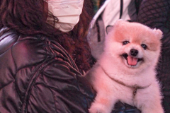 People and public figures came together for the Justice for Asian Women Rally in Times Square. Organized by the Asian Justice Movement,  cities across the United States held rallies to call for justice for Asian women facing ongoing attacks and racism.
In the past two years dramatic increase in anti-Asian hate crimes and random violence has effected the country and shaken Asian communities causing fear and alarm.
In NYC alone, three Asian American women were killed , In unprovoked attacks in the first quarter of the year. Statistically Asian women are targeted higher than compared to Asian men.
Performers, Kate Rigg, AKA Lady K. Sian and actor Perry Young were amongst the handful of performers to partake in the event.
Times Square, NYC. Wednesday, March 16, 2022. (C) Bianca Otero