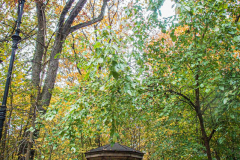 Fall details of Prospect Park and Brooklyn. (C) Bianca Otero. Brooklyn, NY. November 15, 2021