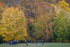 Fall details of Prospect Park and Brooklyn. (C) Bianca Otero. Brooklyn, NY. November 15, 2021