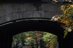 Fall details of Prospect Park and Brooklyn. (C) Bianca Otero. Brooklyn, NY. November 15, 2021