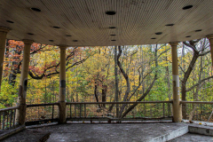 Fall details of Prospect Park and Brooklyn. (C) Bianca Otero. Brooklyn, NY. November 15, 2021
