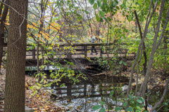 Fall details of Prospect Park and Brooklyn. (C) Bianca Otero. Brooklyn, NY. November 15, 2021