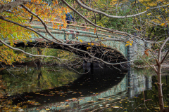 Fall details of Prospect Park and Brooklyn. (C) Bianca Otero. Brooklyn, NY. November 15, 2021