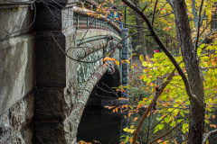 Fall details of Prospect Park and Brooklyn. (C) Bianca Otero. Brooklyn, NY. November 15, 2021