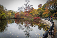 Fall details of Prospect Park and Brooklyn. (C) Bianca Otero. Brooklyn, NY. November 15, 2021