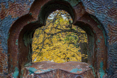 Fall details of Prospect Park and Brooklyn. (C) Bianca Otero. Brooklyn, NY. November 15, 2021