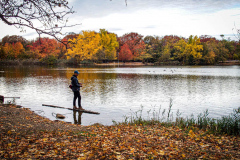 Fall details of Prospect Park and Brooklyn. (C) Bianca Otero. Brooklyn, NY. November 15, 2021