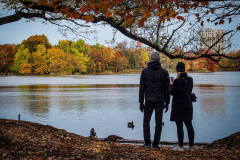 Fall details of Prospect Park and Brooklyn. (C) Bianca Otero. Brooklyn, NY. November 15, 2021