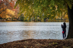 Fall details of Prospect Park and Brooklyn. (C) Bianca Otero. Brooklyn, NY. November 15, 2021