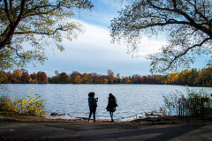 Fall details of Prospect Park and Brooklyn. (C) Bianca Otero. Brooklyn, NY. November 15, 2021