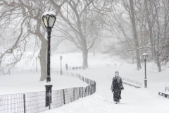 A woman walks through the NorEaster Snow Storm in Central Park on February 1, 2021 in New York City. The Northeast is being hit by a major winter storm that is expected to bring as much as two feet of snow when done sometime Tuesday morning. Schools, public transportation and vaccine centers across the region are being impacted by the storm. (Photo by Alexi Rosenfeld)