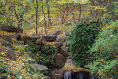 Fall details of Prospect Park and Brooklyn. (C) Bianca Otero. Brooklyn, NY. November 15, 2021