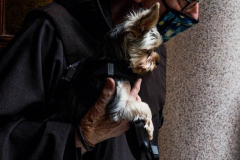 Animals and their humans came to the Church of St. Francis of Assisi in NYC for the Blessing of Animals that takes place every year on the first Sunday of October. 
In the Roman Catholic Church, St. Francis of Assisi is patron saint of animals, merchants and ecology.
This year broke an all time record of attendees who seek better horizons and better health for the upcoming year. (C) Bianca Otero