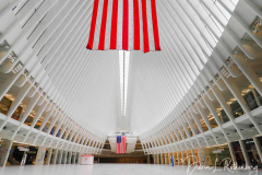 The Occulus is usually full of people, but was empty on this day. MANY days this year, it was void of people.