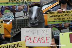New York,  Representatives from NYCLASS, PETA and other community advocates engage in a protest outside the 38th Street stable to demand immediate action from the city to save the life of an injured, emaciated horse that was being forced to pull carriages while exhibiting open wounds. Transit Workers Union 100 hold up signs to counter protest the event.
Curtis Sliwa who is running for N.Y.C. Mayor next year holds sign and speaks at the podium.