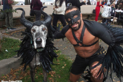 New York,    Annual Halloween dog parade returned after missing last years due to Covid.