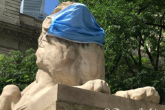 masked-lion_3-1